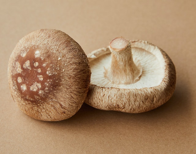 Shiitake